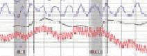 polygraph test in Marysville